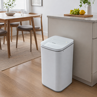 Mini-lave-linge compact à chargement par le haut avec fonction de verrouillage enfant et nettoyage de la cuve, lave-linge portable de petite taille