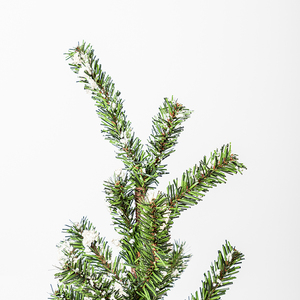 Co-Arts Quality Shape Artificial Manufacture Christmas <b>Tree</b> Indoor Home Decorative <b>Tree</b> Arbol De Navidad Sapin De Noel Arboles - Product Image 5