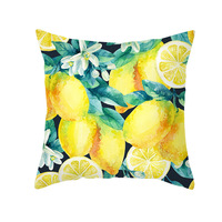 Personnalisation Housses de coussin populaires en peau de pêche bleu imprimé citron Décoratif pour la maison