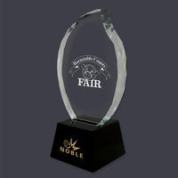 Nouveau design trophée de flamme à facettes en cristal optique gravé de spectacle équestre personnalisé