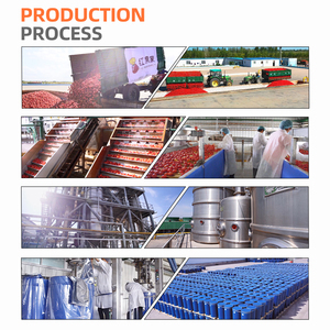 Pâte de tomate aseptique <span class=keywords><strong>Tetra</strong></span> Brik de haute qualité Sac de sauce tomate de marque OEM Boîte en vrac Bouteille Options d'emballage disponibles - Product Image 5