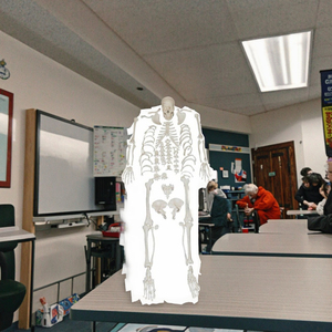 Mô hình bộ xương người y tế <span class=keywords><strong>S</strong></span> Mô hình bộ xương người kích thước thật - Product Image 5