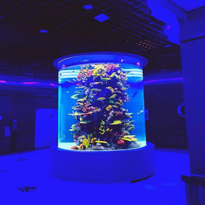 Oceanarium-scène met groot, dik, milieuvriendelijk acryl <span class=keywords><strong>aquarium</strong></span> in cilinderdesign. - Product Image 4