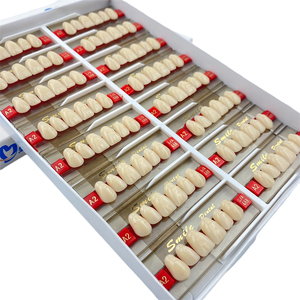 Dents en résine acrylique 2 couches Dents dentaires antérieures Fausses dents - Product Image 6