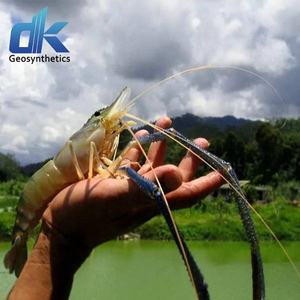カスタマイズされたエビ池ナマズ池ファームライナージオメンブレンHDPE <span class=keywords><strong>LDPE</strong></span> LLDPE防水池ライナー排水膜ジオメンブレン - Product Image 6