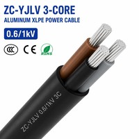 Cable de Alimentación Blindado ZC-YJLV de 3 Núcleos, 0.6/1kV, Clase C, Retardante de Fuego, Al/XLPE/PVC, IEC 60502, Trifásico, para Distribución de Motores y Bombas