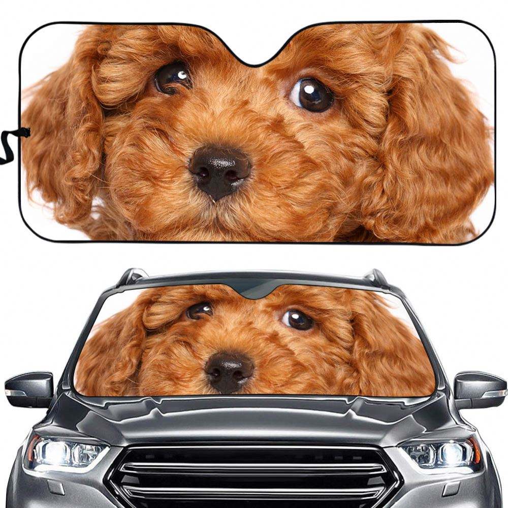 卸売り 車用サンシェード材質 Buy Best 車用サンシェード材質中国より多数 車用サンシェード材質 卸売販売業者 オンライン Alibaba Com