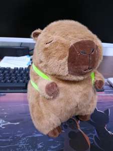 Amy Tavşanı Kapibara Ayı Peluş Oyuncak PP Pamuk Organik Pamuk Süper Yumuşak Kumaş Yorgan Yıkanmış Doldurulmuş Hayvan Yaratıcı Çirkin Sevimli - Product Image 5