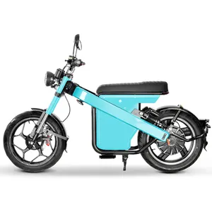 HJ-HM6 electric 3000W 60V affordable ride in city all terrain citycoco motor 17inch tires harley mobility bike scooter