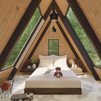 Casa triangular de acero ligero, suministro de fabricación China, pequeña casa prefabricada
