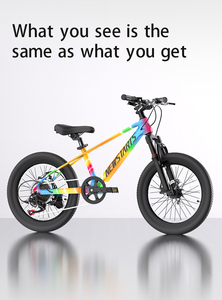 Venta al por mayor 20 pulgadas de una sola velocidad de montaña jóvenes adolescentes chico bicicleta <span class=keywords><strong>para</strong></span> 9 10 años de edad niños Bisicleta bicicleta <span class=keywords><strong>para</strong></span> niños - Product Image 5