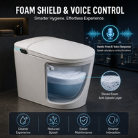 WC intelligent avec bidet intégré, chasse d'eau automatique et siège chauffant, ensemble WC monobloc en céramique pour projets de rénovation