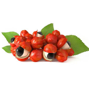 <span class=keywords><strong>Poudre</strong></span> d'extrait de graines de <span class=keywords><strong>guarana</strong></span> - Product Image 5