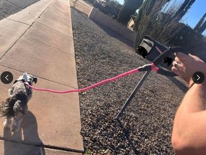 狗皮带舒适的灰色衬垫手柄1/2英寸重型高反射绳360旋转挂钩，用于步行跑步促销 - Product Image 4