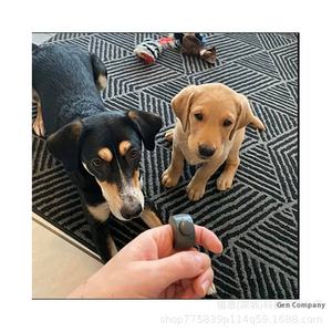 Nuevo diseño de bajo estrés Pet Trainer Ring <span class=keywords><strong>Clicker</strong></span> Equipment para perros y gatos Blister Card Packaging Productos de entrenamiento para mascotas - Product Image 3