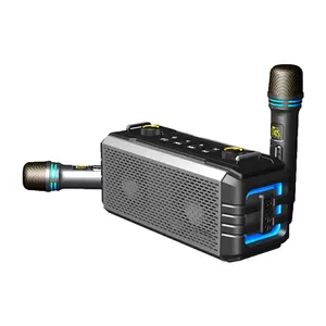 Altoparlante karaoke wireless ipx5 di grande potenza 100w all'ingrosso con microfono