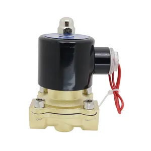 Valve supplier Brass 2/2 Way Pilot Operated Piston High Pressure 110V 220V 24V AC DC Normally Cosed Solenoid Valve