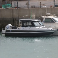 Bateau de pêche en aluminium de 7,5 m (25 pieds) de Nouvelle-Zélande avec moteur hors-bord pour la pêche sportive et de loisirs à vendre