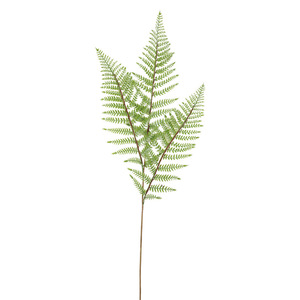 <b>Artificial</b> Ferns Persian Fern Multi Piece Package High Simulation Indoor Decor Greenery - Product Image 5