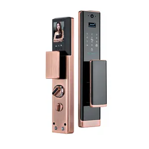 Caméra Sonnette Snap Keyless Passcode Finger Print Digital Best Selling IC Card Smart Lock