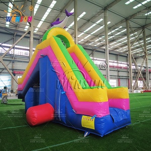Scivolo d'Acqua Gonfiabile Personalizzato WINSUN, Grande e Lungo 10m 15m 22ft 40ft, per Adulti e Bambini, Uso Commerciale - Product Image 2
