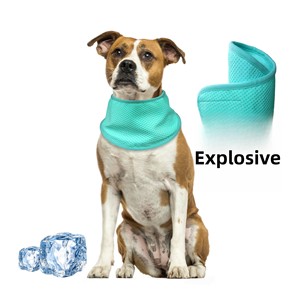 Pañuelo de cuello refrescante de verano para gatos y perros <span class=keywords><strong>Collar</strong></span> de Mascota de patrón sólido-Servicios personalizables proporcionados - Product Image 5