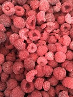 Hot Selling Iqf Bevroren Frambozen Hele Vruchten Goede Prijs Bulkverpakking Durian Type-Vers Geplukt En Ingevroren Op Piekrijpheid