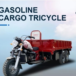 Triciclo de Carga de 300cc 350cc en Oferta, Motocicleta Triciclo de Carga con 9 Ruedas para Transporte de Mercancías - Product Image 2