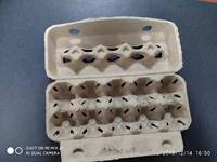 Ligne de production entièrement automatique de barquettes/cartons à œufs en papier de type marocain, moules de formage 4/8/16/32, processus CNC, certifié ISO9001