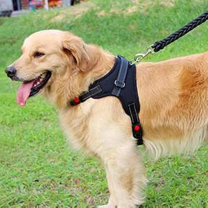 เสื้อกั๊กสุนัขแบบตาข่ายระบายอากาศ สะท้อนแสง ปลอดภัยในเวลากลางคืน ปรับได้ ไม่รัดคอ ไม่รั้ง ไม่กระชับ  พร้อมหูจับ  สามารถปรับแต่งได้ - Product Image 5