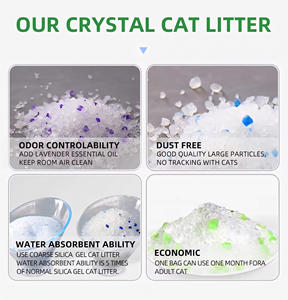 Fórmula sin polvo, envío en 48 horas, desodorización, producto popular y novedoso, arena de gel de sílice cristalina para gatos - Product Image 3