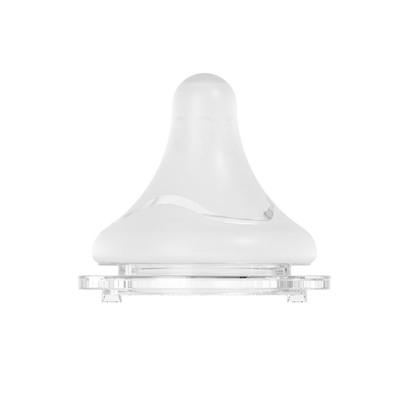 รูปร่าง1