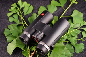 Binoculares oculares grandes de gran angular transparente 10X42 con prisma Bak4, buen precio, gafas de observación de aves, venta de <span class=keywords><strong>telescopio</strong></span> Popular - Product Image 3