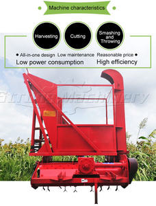 Nueva Segadora de Heno para Tractor, Cosechadora de Forraje y Ensilaje, Máquina de Reciclaje para Triturar y Cortar Paja de Maíz con Rodamiento - Product Image 4