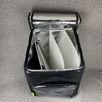 Double Shoulder Waterproof Insulated Foldable Instant Cooling Food Delivery Bag Vinyl Material Portable Backpack Style