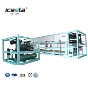 Customized ICESTA Automatic 1t 2t 3t 5t 8t 10t 15t 20t 25t 30t 40t Industrial Ice Block Making Machine