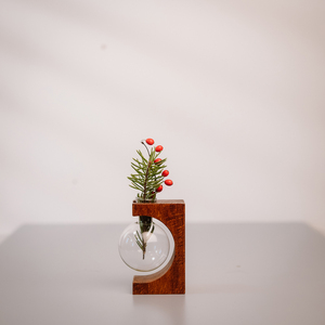 NOUVEAU Tube à essai Vase en <span class=keywords><strong>teck</strong></span> Vase en verre transparent Hydrophile Plantes Vase <span class=keywords><strong>Porte</strong></span>-<span class=keywords><strong>plante</strong></span> Cadre en bois Support pour fleurs - Product Image 4