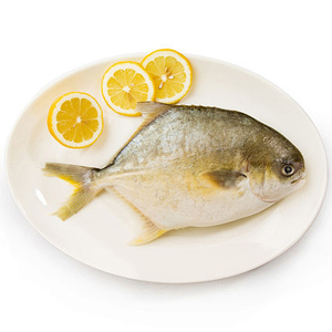 Pescado de Buena Calidad 300-400g, <span class=keywords><strong>Trachinotus</strong></span> <span class=keywords><strong>Ovatus</strong></span> Popular, Pescado Congelado, Pargo Dorado - Product Image 1