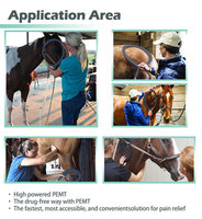 Dispositivo PEMF Portátil para Caballos, Campo Electromagnético Pulsado, Mejora la Relajación Muscular, Flexibilidad Articular, Aumenta la Movilidad