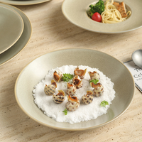 Assiette en céramique solide de luxe, finition mate gris-vert clair, entièrement en porcelaine, ensemble d'assiettes rondes pour dîner, pâtes/salade/viande grillée