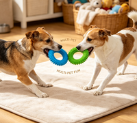 Jouet pour chien TPR durable, mignon et original, avec anneaux imbriqués, pour nettoyer les dents, à tirer, pour l'intérieur et l'extérieur