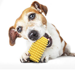 Popular pet toys corn grinding teeth sticks dog cotton <b>ropes</b> TPR toothbrushes chew toys - Product Image 3