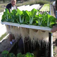Panneau de mousse de radeau flottant EPE personnalisé en usine plaque de mousse de croissance XPS conseil pour système de culture de légumes hydroponiques
