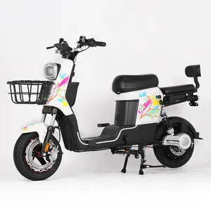 14 "전기 유틸리티 자전거 60V50Ah 높은 강력한 전기 유틸리티 자전거 중국 투어링 Ebike Led 빛