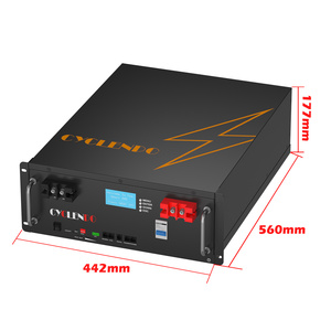 <span class=keywords><strong>Batterie</strong></span> au <span class=keywords><strong>lithium</strong></span> Cyclenpo 51,2 V 100 Ah LiFePO4 pour montage en rack de serveur, stockage solaire domestique 48 V, 2,5 kWh, stockage d'énergie domestique - Product Image 2