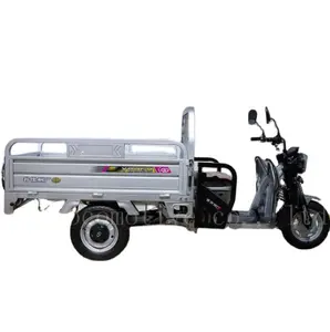 Three Wheel Electric Trike Leisure Tricycle Electric Cargo Truckelectric Trike 5ton Cargo Truck for Cargo