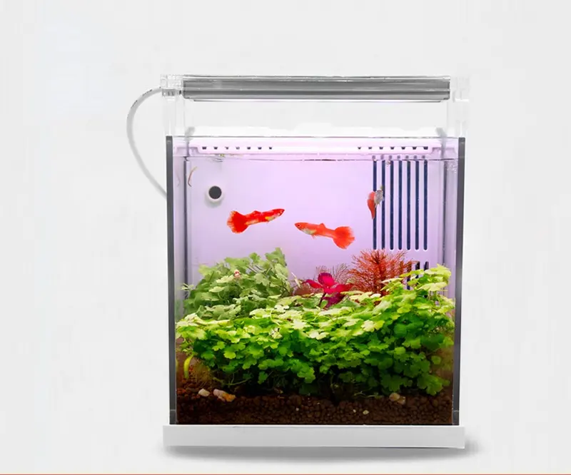 Qanvee New Design Desktop Acrylic Fish Tank Mini Fish Tank Aquarium For Beginners Aquarium Fish Tank
