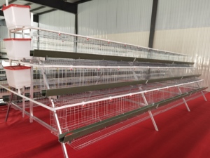 新款BeYou BeYou-<span class=keywords><strong>Cage</strong></span> 3层5门层笼A型120只鸡冷镀锌多功能动物笼用于蛋鸡场使用 - Product Image 1
