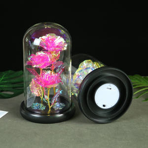 G128กาแล็กซี่ฟอยล์สีทองกุหลาบดอกไม้ที่มีไฟ LED ฟอยล์สีทองในโดมแก้วปกกล่องของขวัญสำหรับวันคริสต์มาสวาเลนไทน์ - Product Image 3