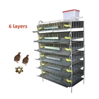 Nouvelle Cage à Cailles Moderne Type H, Vente en Gros Usine, 5 ou 6 Niveaux, pour la Production Commerciale d'Œufs